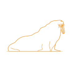 Animals Seals Walrus Digital Sketch Svg Design, Free Vectors File